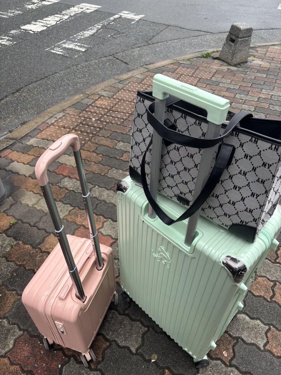 青青草原懒洋洋 tweet media