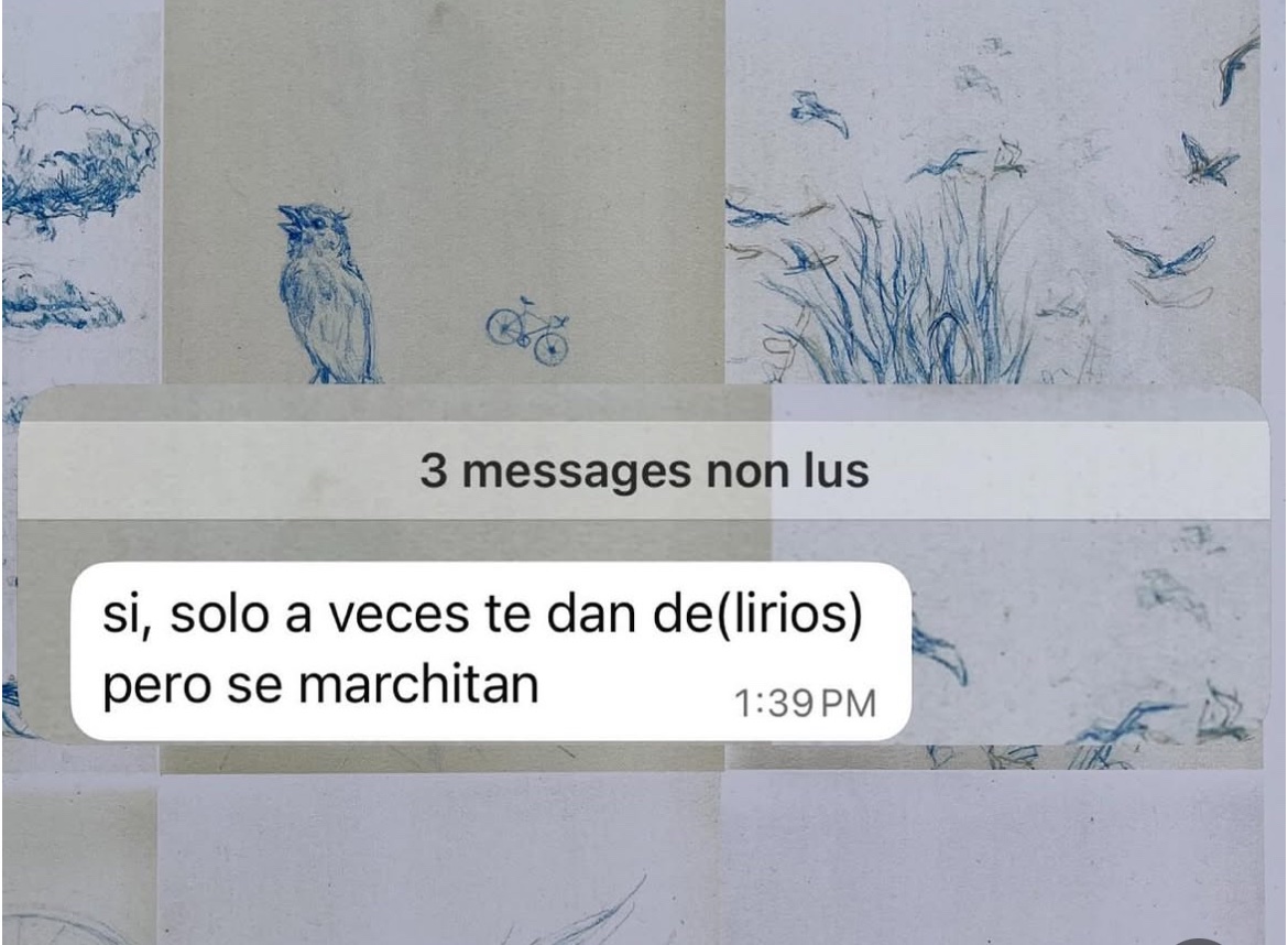 søfisónica ★ tweet media