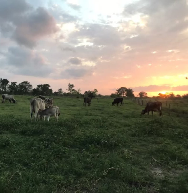 Mariela González tweet media