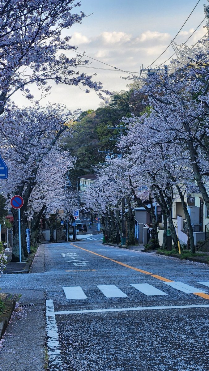 相澤大介 tweet media