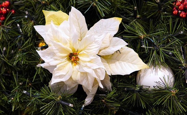 クッキーのてくにかる分析🇯🇵 @pejaponwataru tweet media