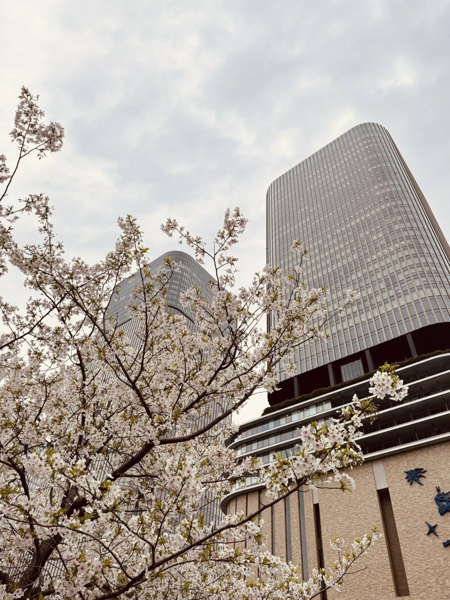 ▪️▫️takeshi▫️▪️ tweet media