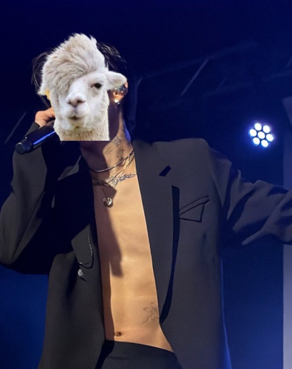 Not Hiran🍒 but Junhee’s Alpaca 🦙 tweet media