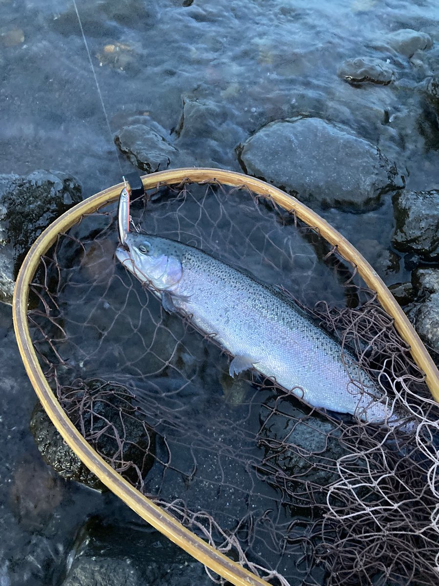 いしはら tweet media