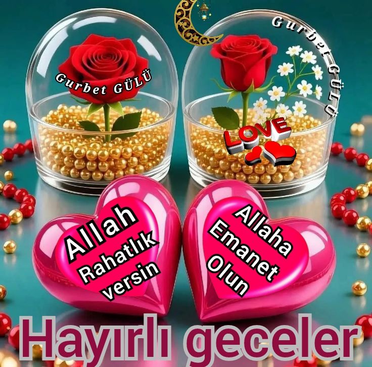AHMET 🇹🇷🤘🤘🇹🇷💡💡🇹🇷🇹🇷🇹🇷 tweet media