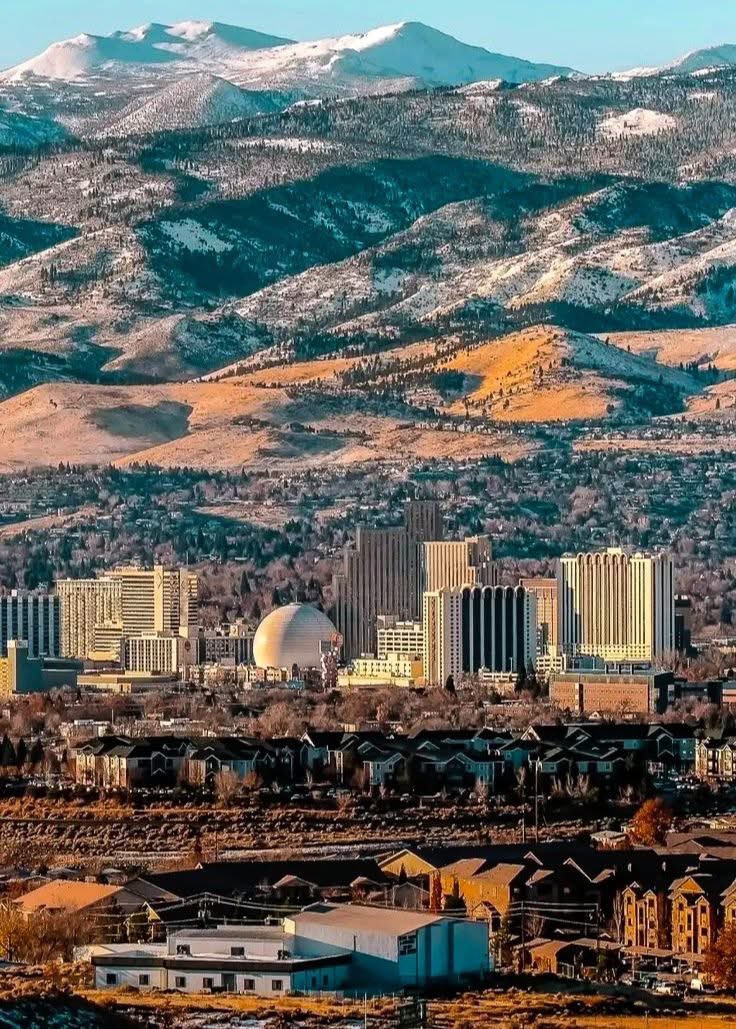 Shannon Hill tweet media