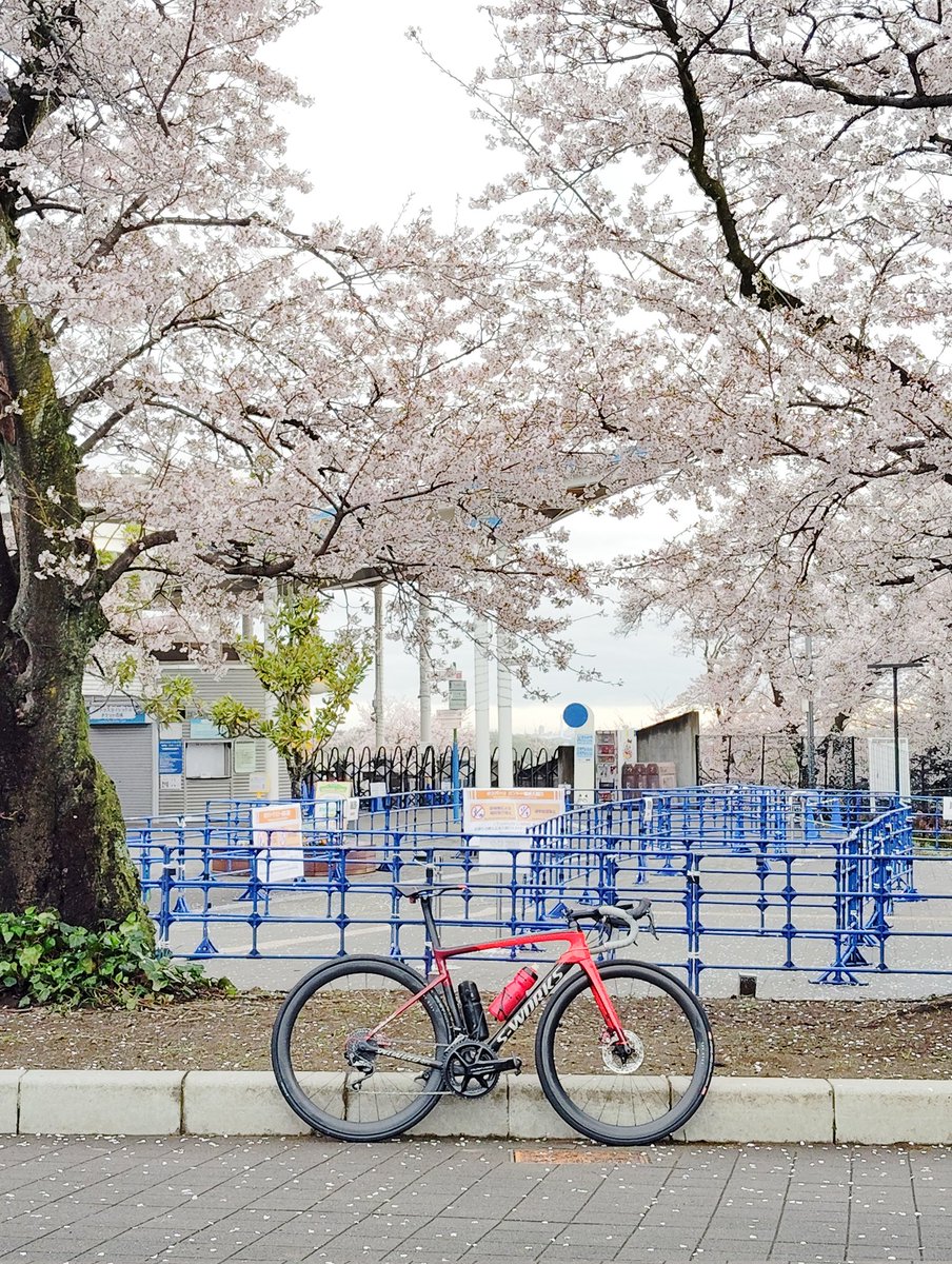 ryuta〽 tweet media