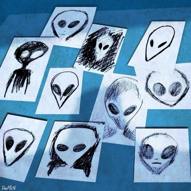 Dissent In Bloom tweet media