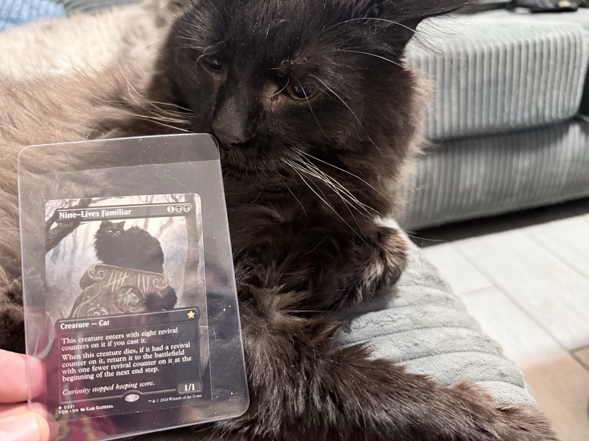 Mark Patterson tweet media