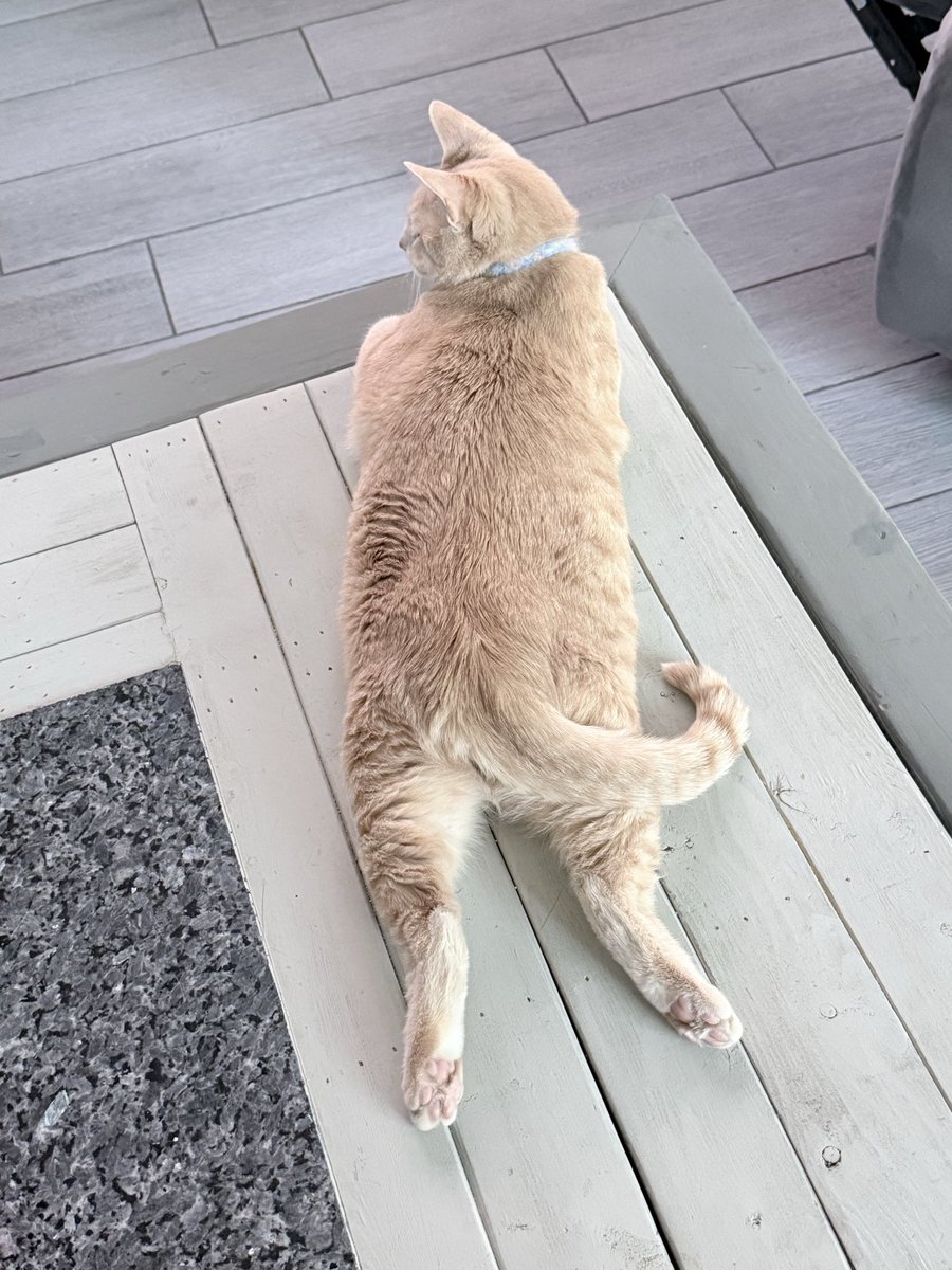 Mark Patterson tweet media