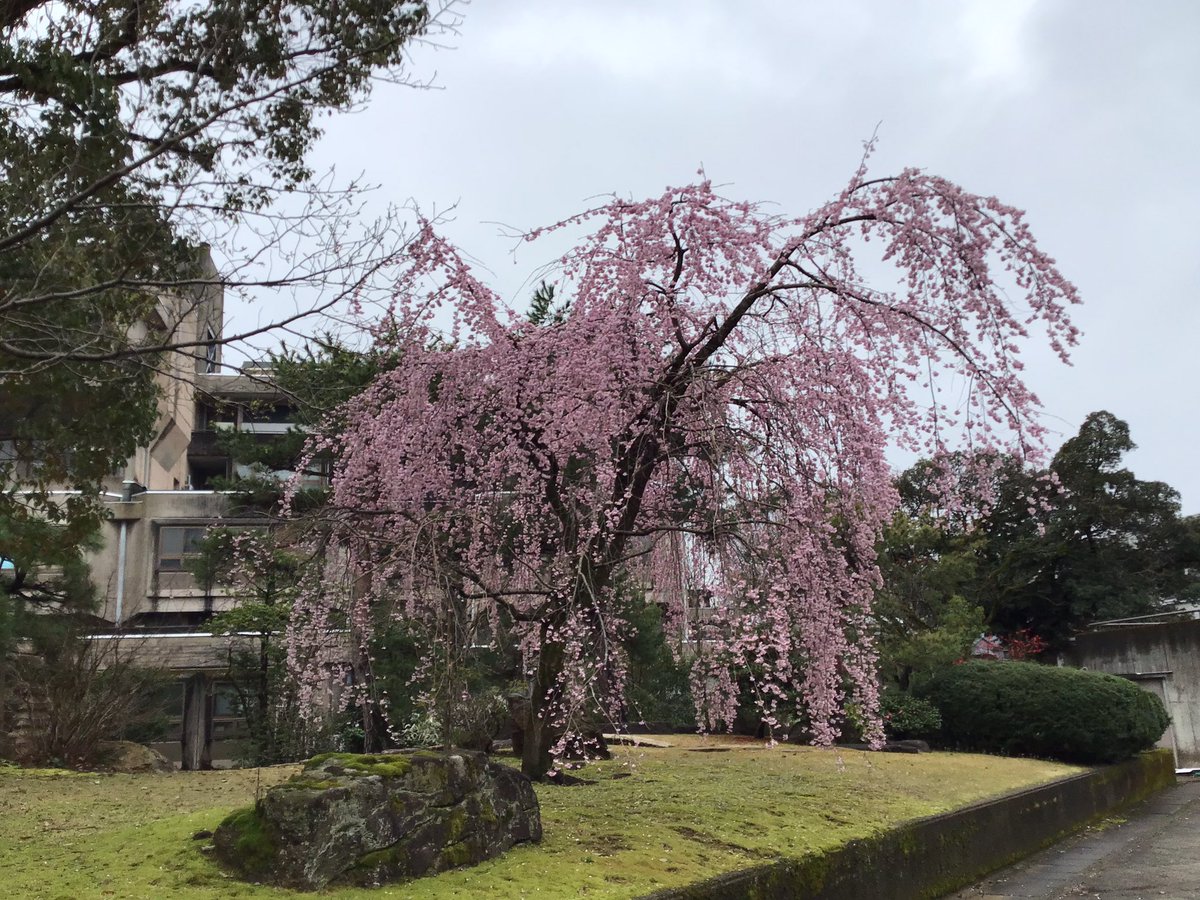 Nobuyuki Watanabe tweet media