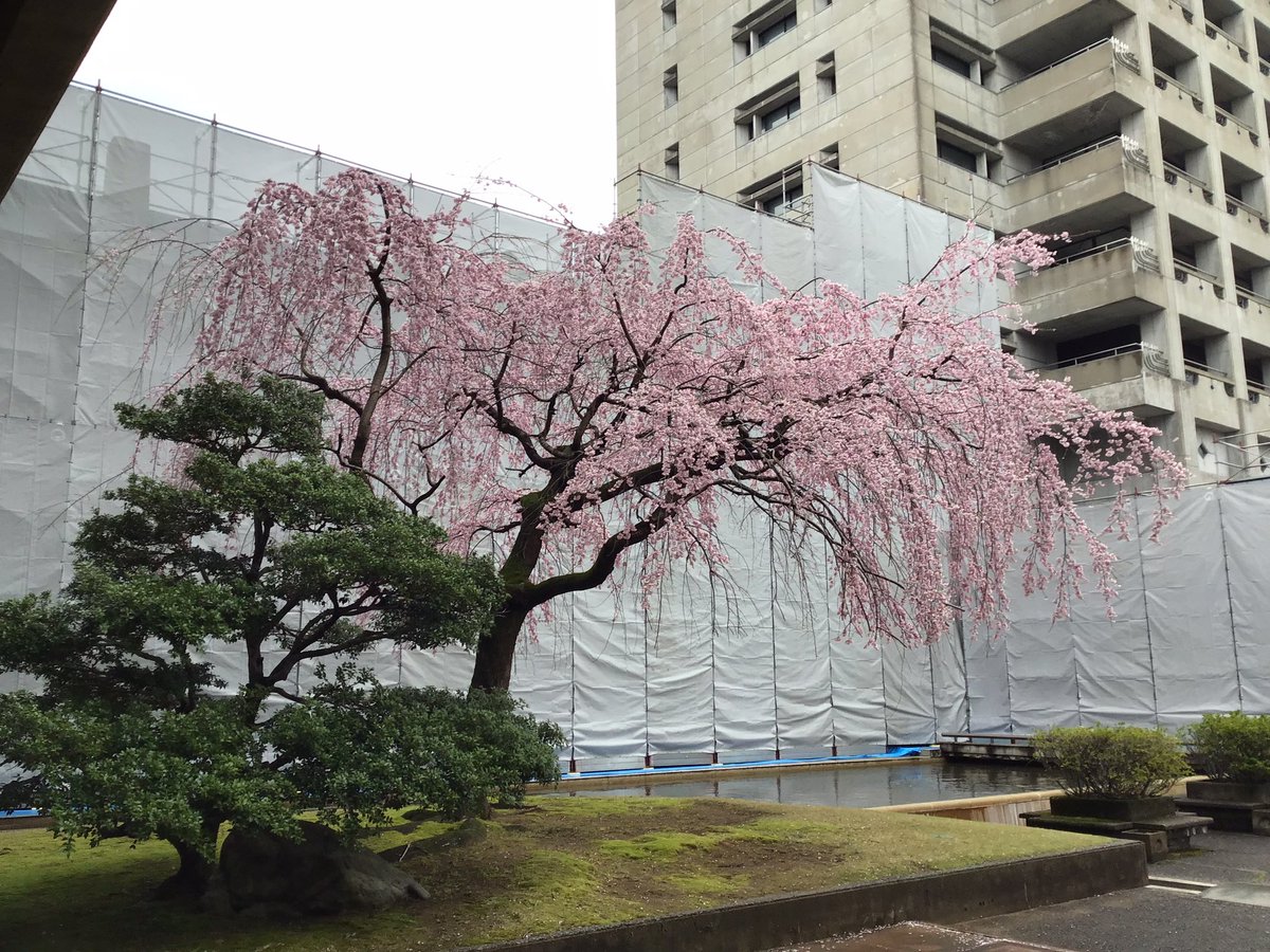 Nobuyuki Watanabe tweet media