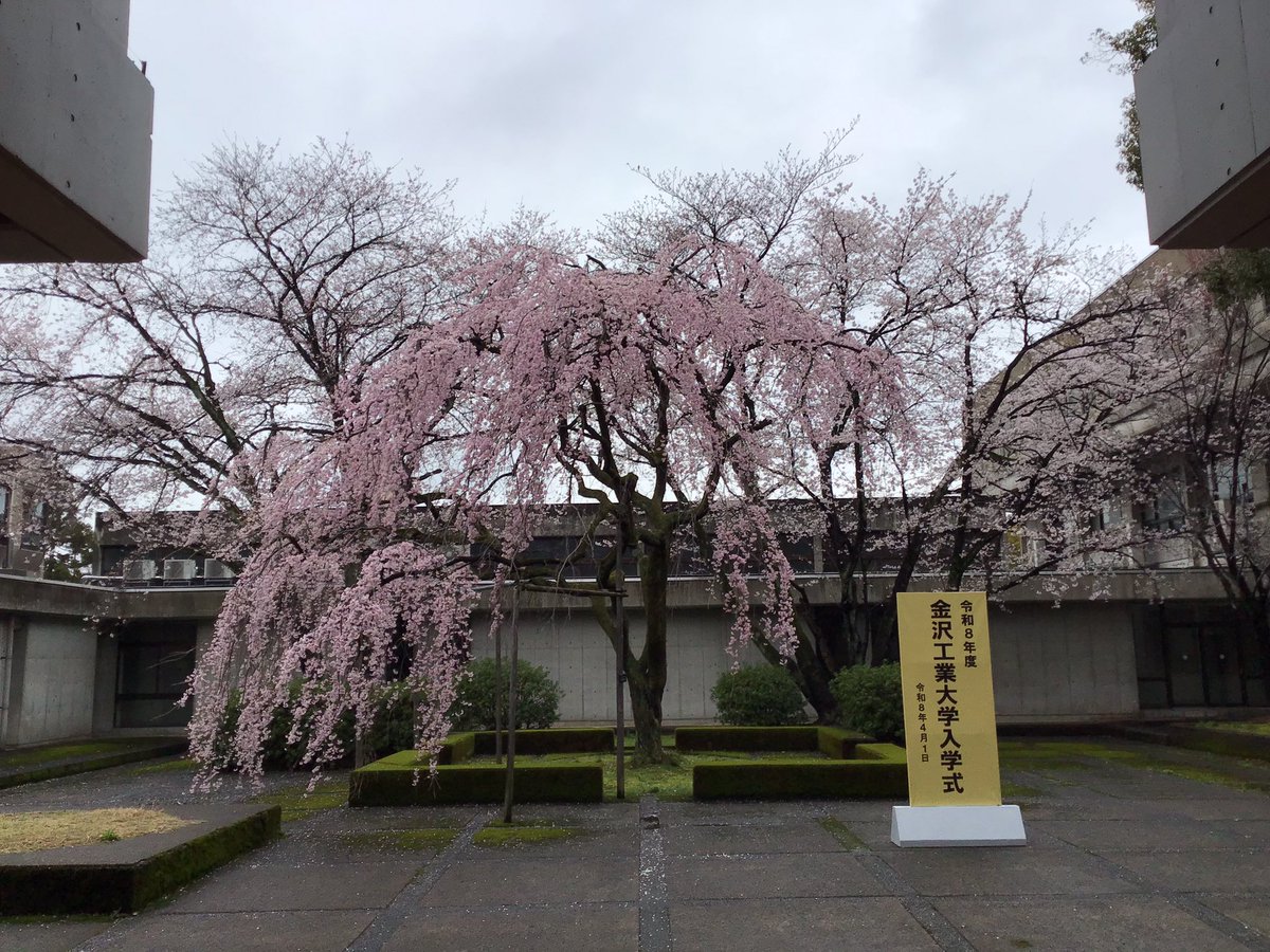 Nobuyuki Watanabe tweet media