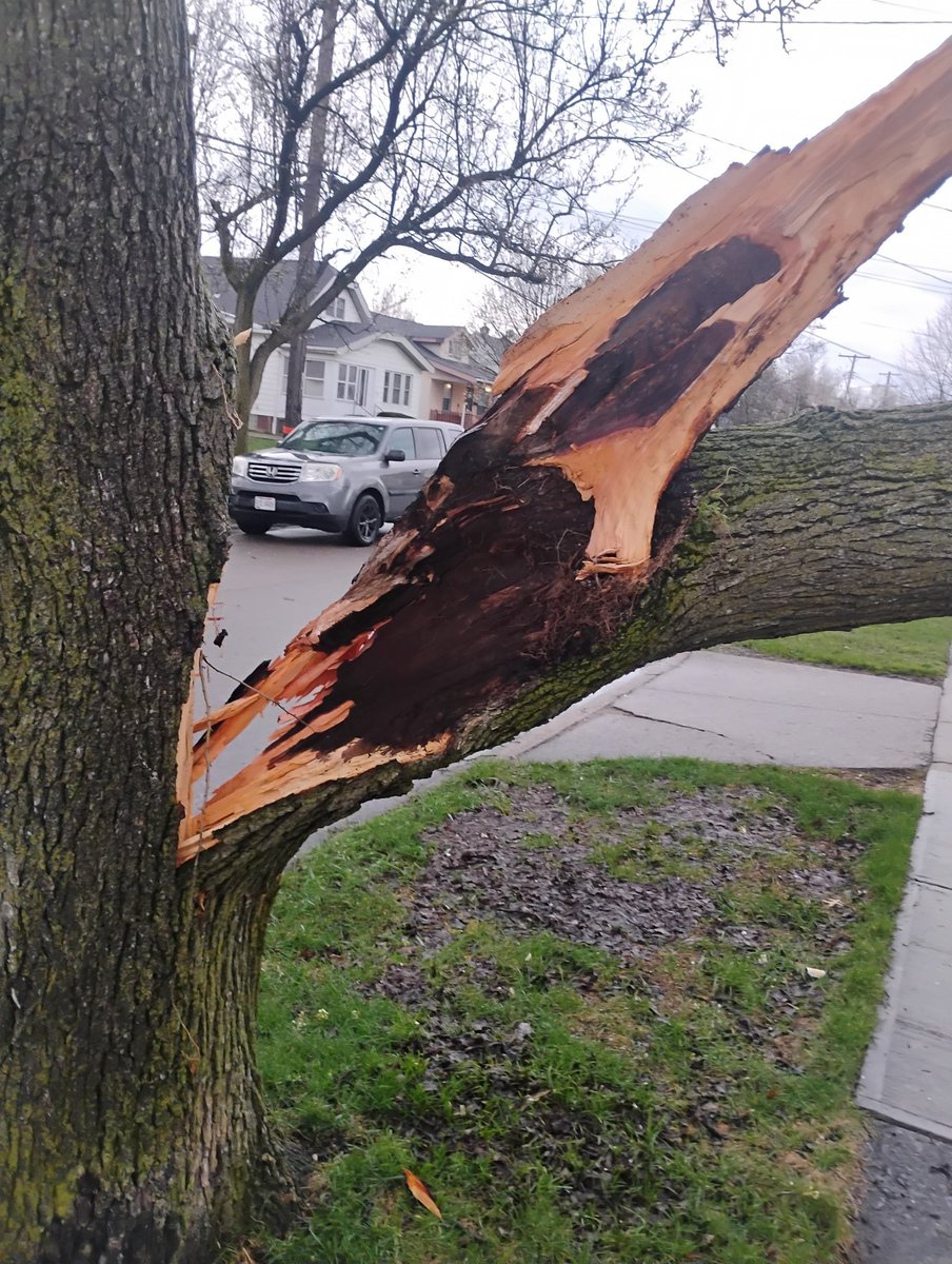 Moth Mage Eddy 🧙‍♂️ tweet media