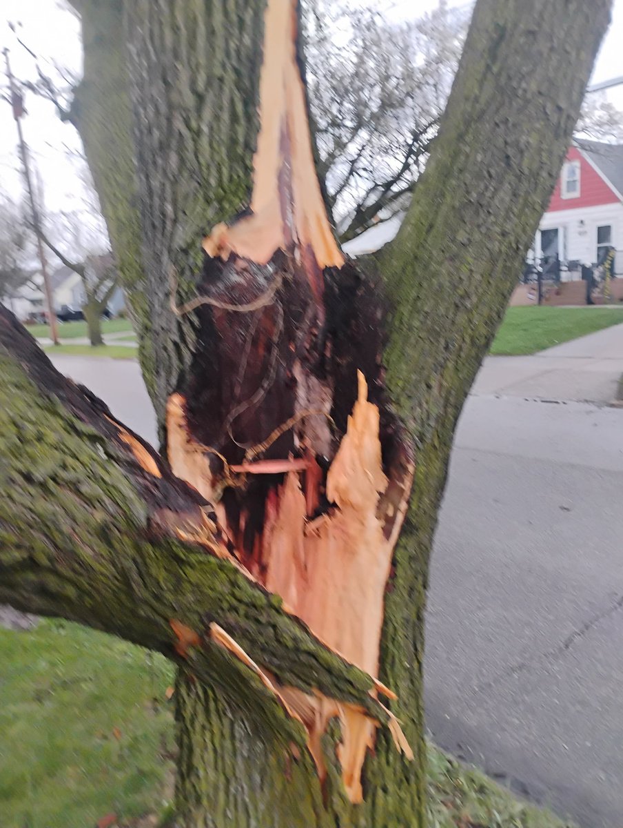 Moth Mage Eddy 🧙‍♂️ tweet media