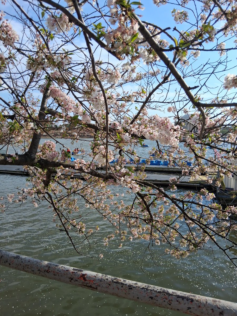 Mary/Burzek Married 💍🥰 tweet media