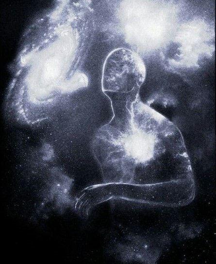 Kekius Maximus tweet media