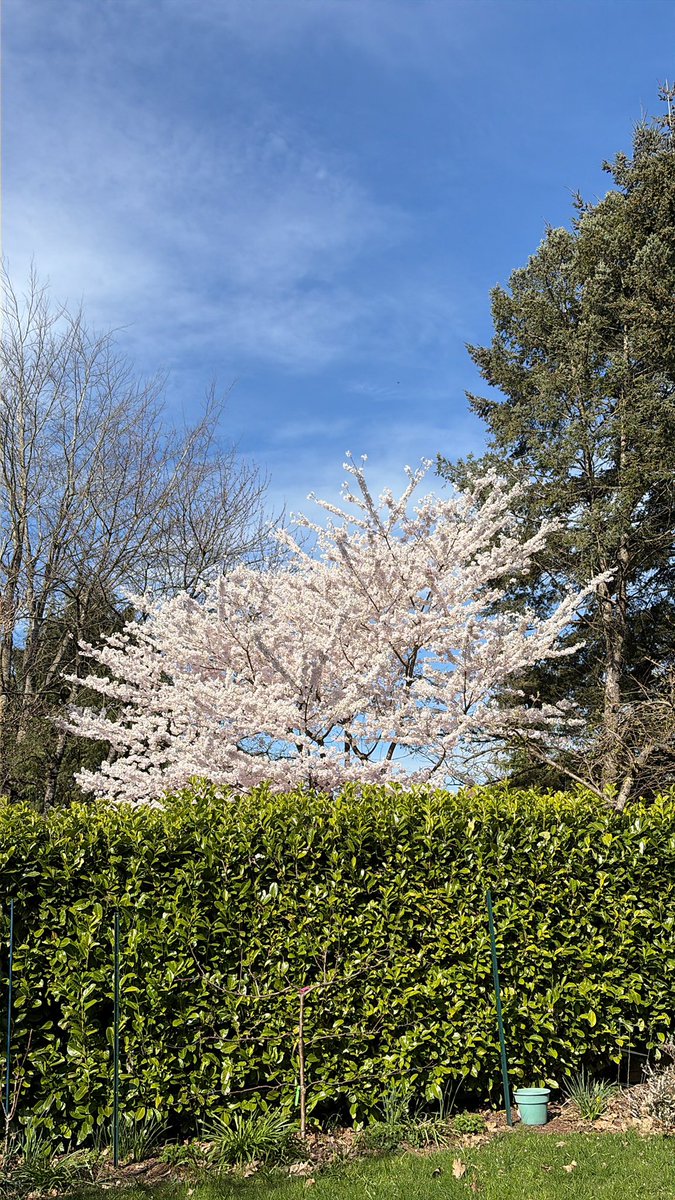 Luke Closs tweet media