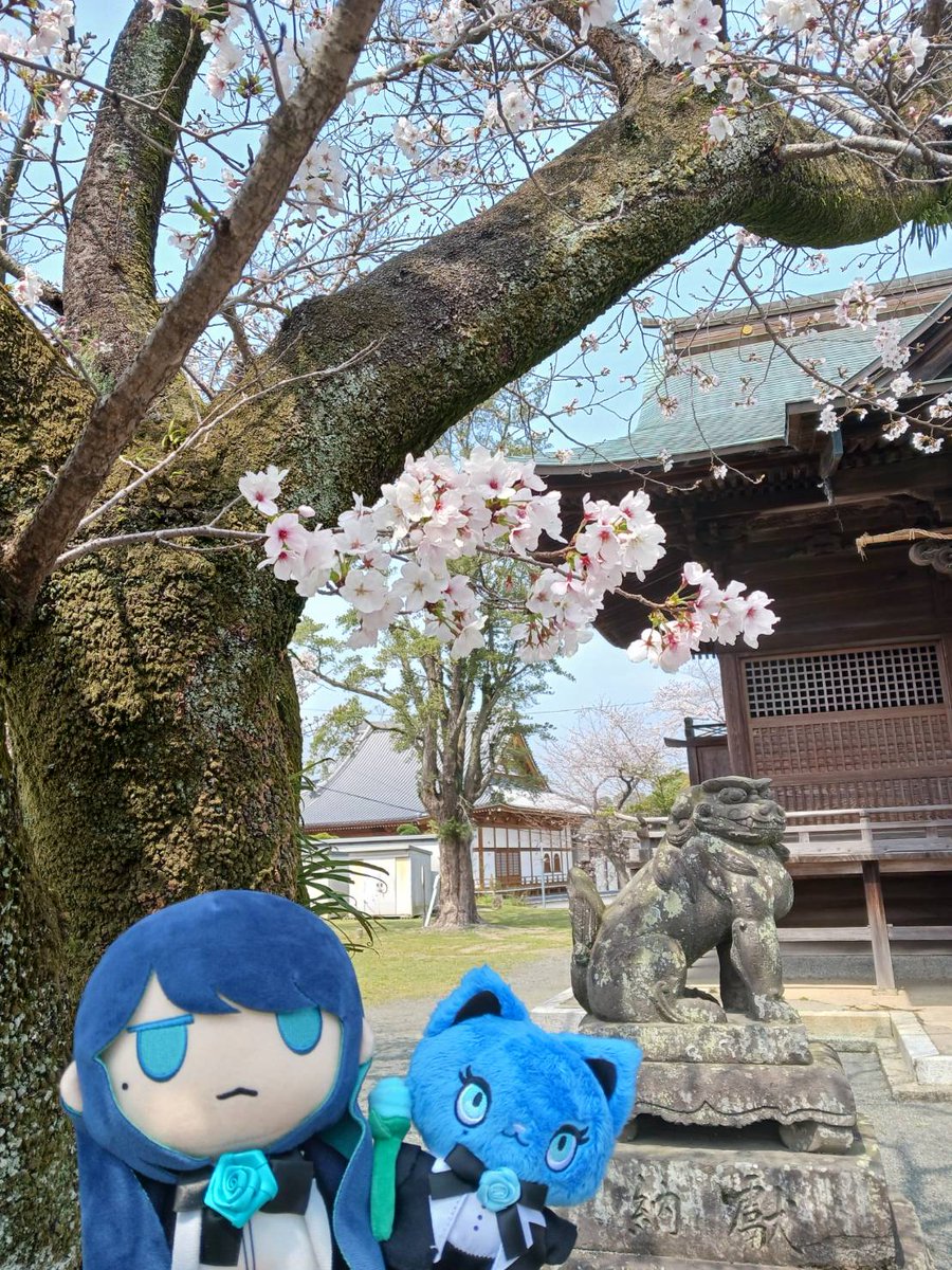 pino💙🥀 tweet media