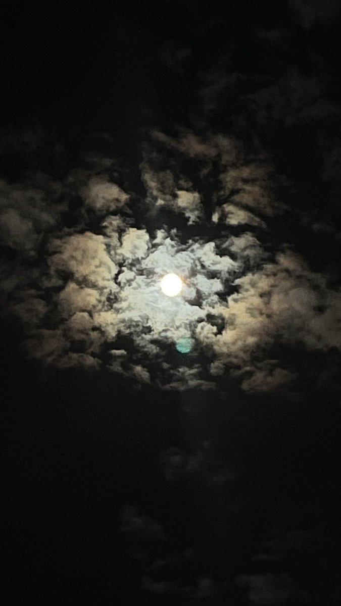 hafsaare's tweet photo. gece 🌙 https://t.co/s3qeQyy422