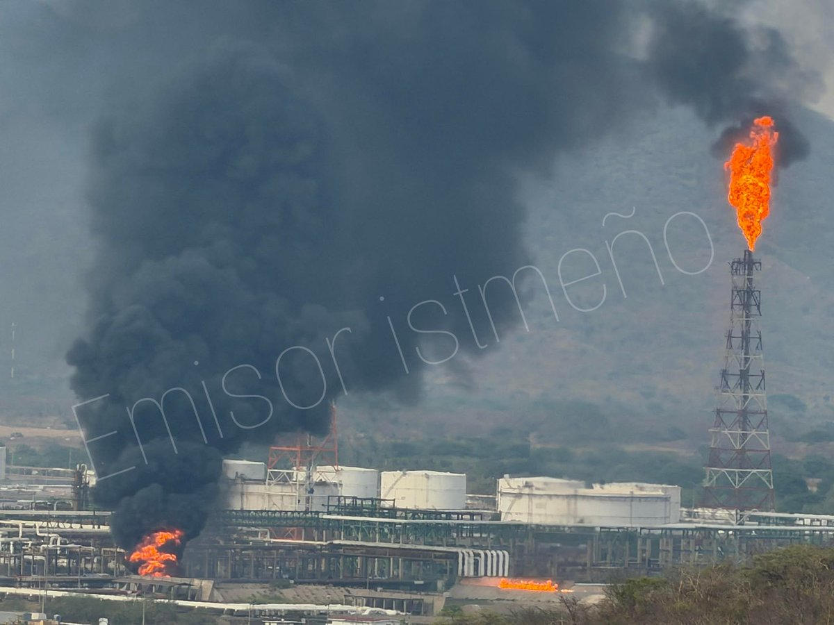 Hectorink tweet media