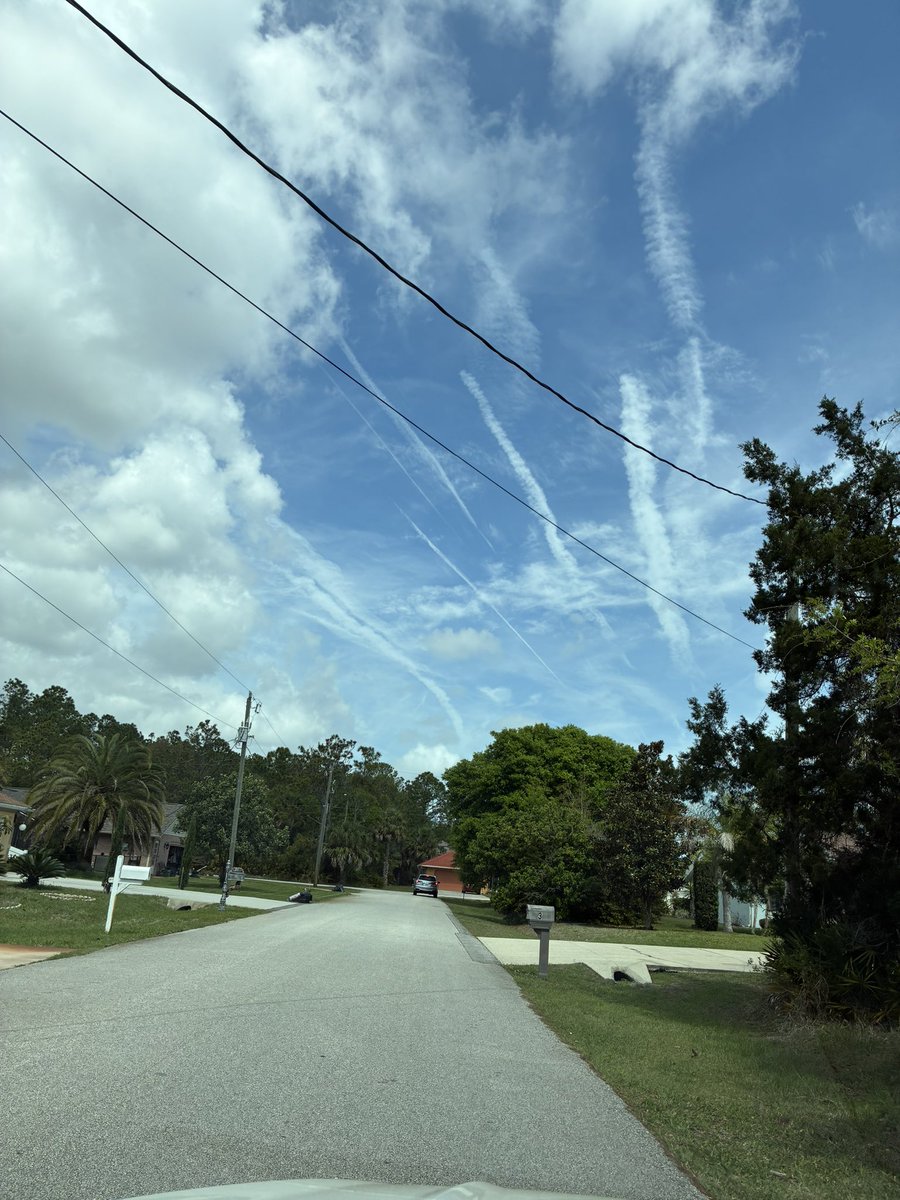 SunIsLife77🐸 tweet media