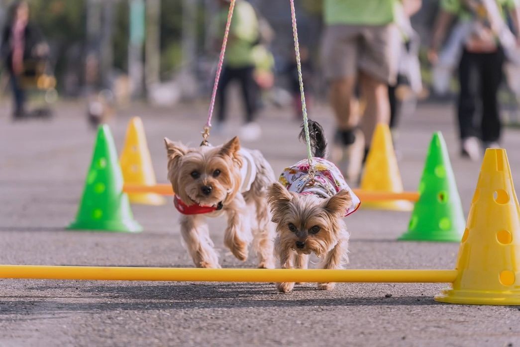 LESLIE DEEMER tweet media