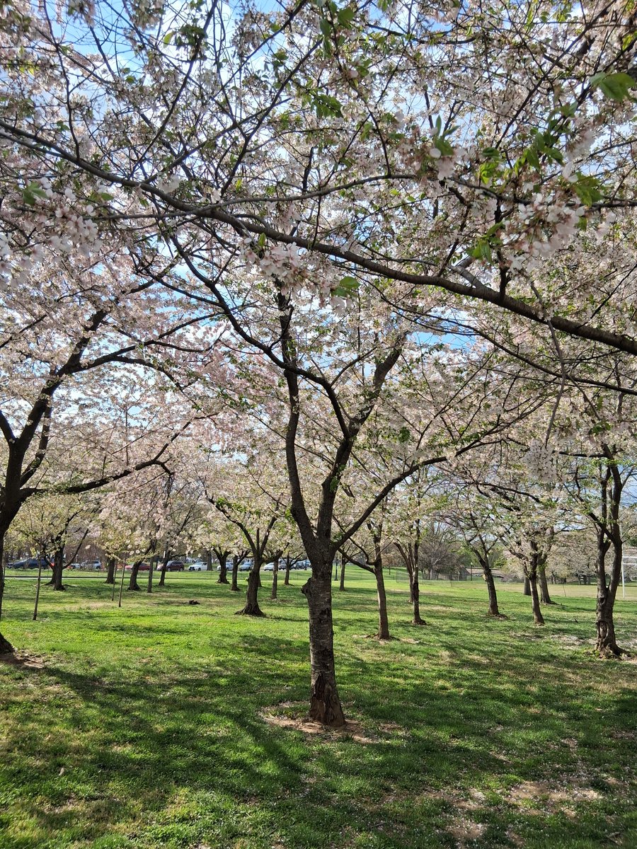 Mary/Burzek Married 💍🥰 tweet media
