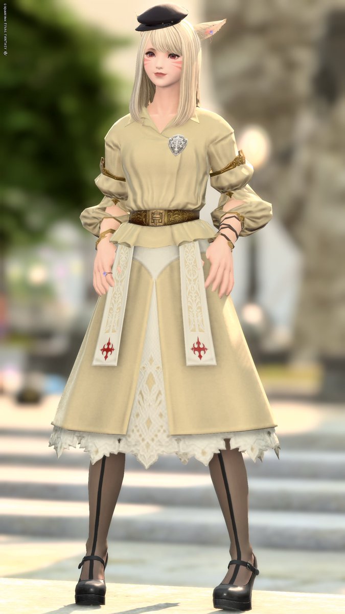 ともも🐈‍⬛🐾 tweet media