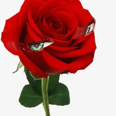 ꧁🌹𝓐𝓻𝓰𝓮𝓷𝓽𝓲🌹꧂ tweet media