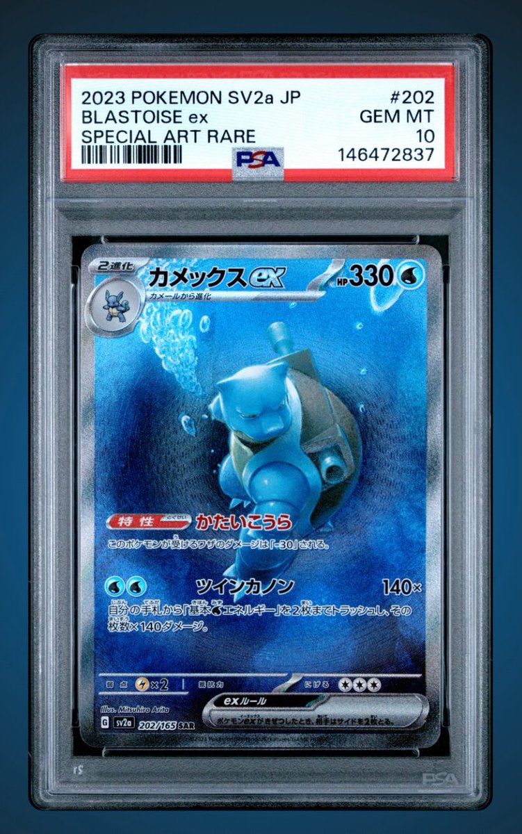 Catskill Collections TCG tweet media