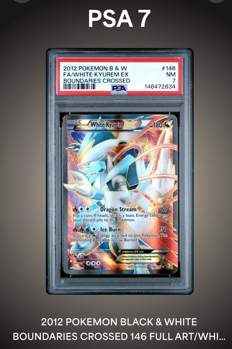 Catskill Collections TCG tweet media