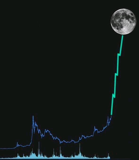 Alpha Crypto Gems 💎 tweet media
