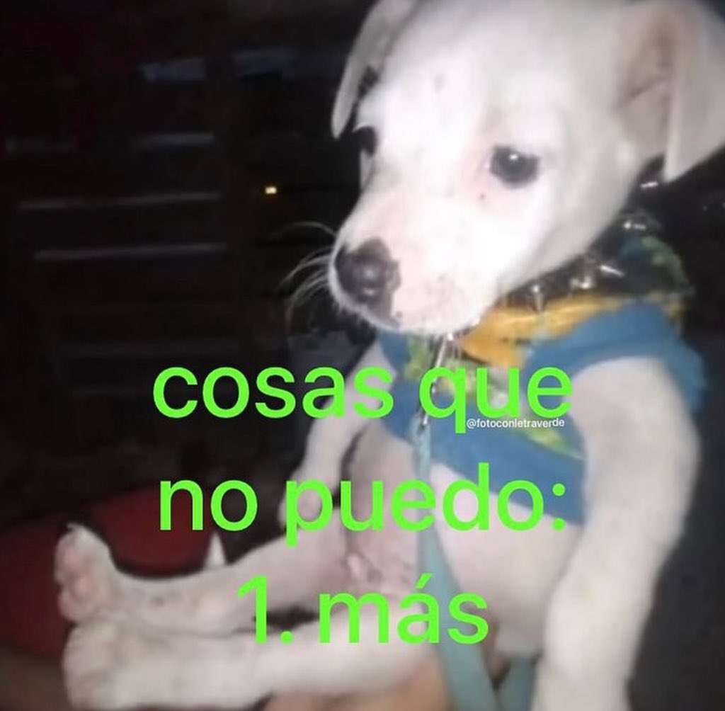 piña sin pizza tweet media