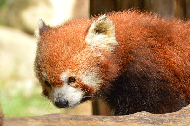 Carrie Waye tweet media