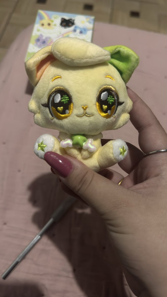 𑣲 anália tweet media