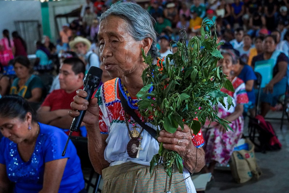 gobiernohidalgo's tweet photo. El gobierno de @juliomenchaca_ impulsa el programa “Guardianas de Vida” para fortalecer la medicina tradicional en la Huasteca, acercando apoyos a parteras y médicos tradicionales.
A través de la @cedspi, se brindó acompañamiento para facilitar su registro y reconocer su labor. https://t.co/SjygBmFZVS