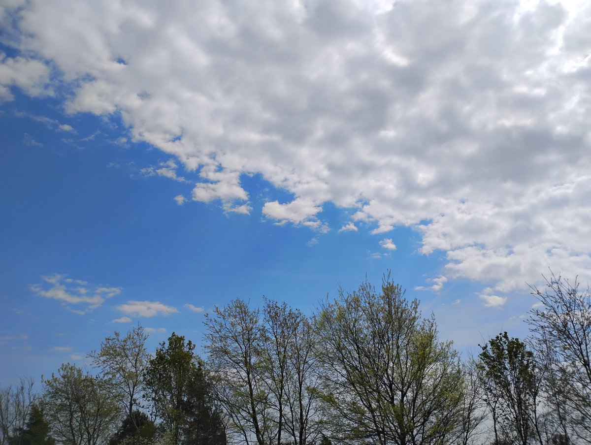 theerinpost's tweet photo. Cheers to: shedding old skin

🔹Sweet April showers, do bring May flowers🔹

🔸Thomas Tusser

The stone cold truth is that often times it isn't just what you do, but how good you look doing it.

❇️✳️ Good luck! ✳️❇️ https://t.co/qUHLUwnAxb