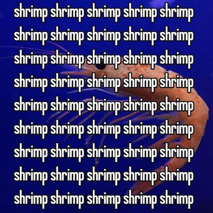 horse dentist tweet media