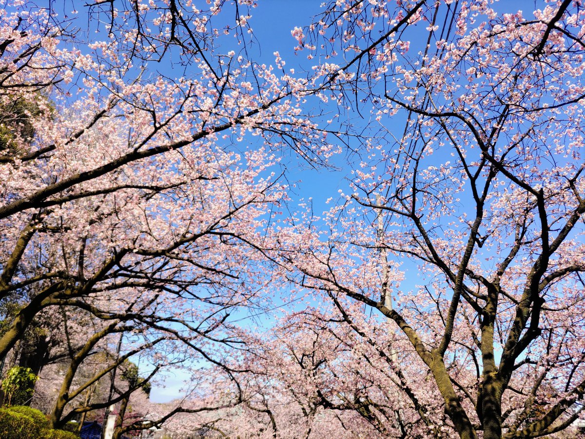 coret_omo_st's tweet photo. 新年度のスタート🌸
今期もよろしくお願いいたします😊
＃Coret ＃人材紹介 https://t.co/sQxXSfzs3X