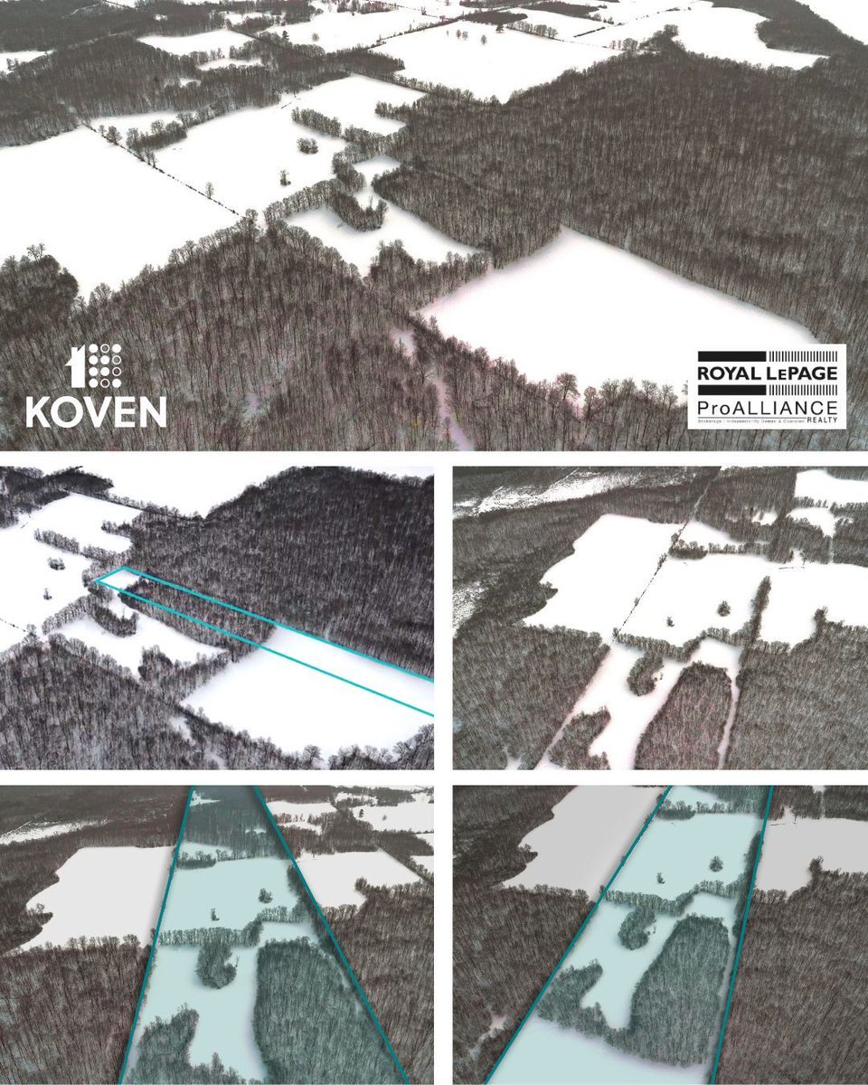 Adam Koven tweet media