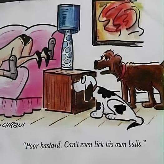 Notorious T.I.A 🐶🐱🐶🌈🏳️‍🌈🧩 tweet media