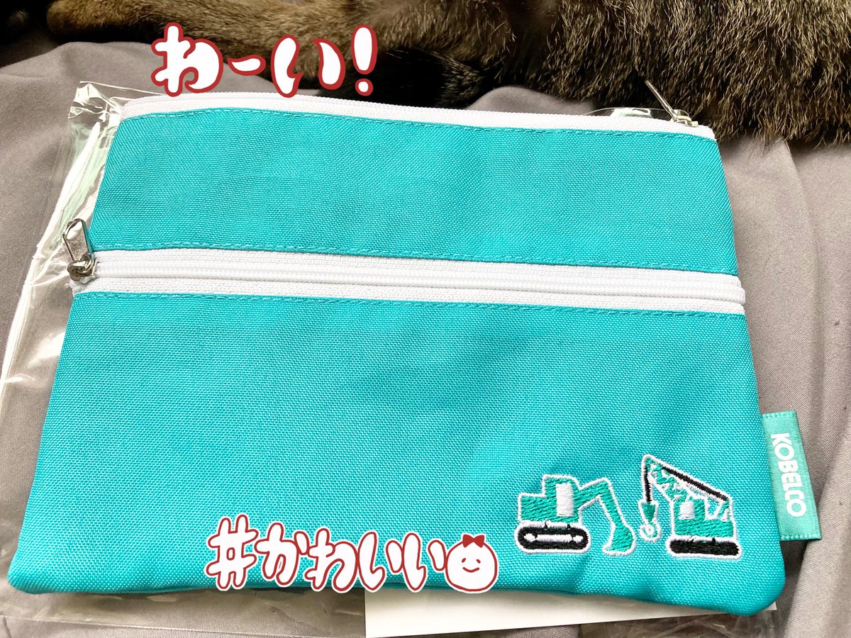 オスキャル🐈🐈‍⬛ tweet media