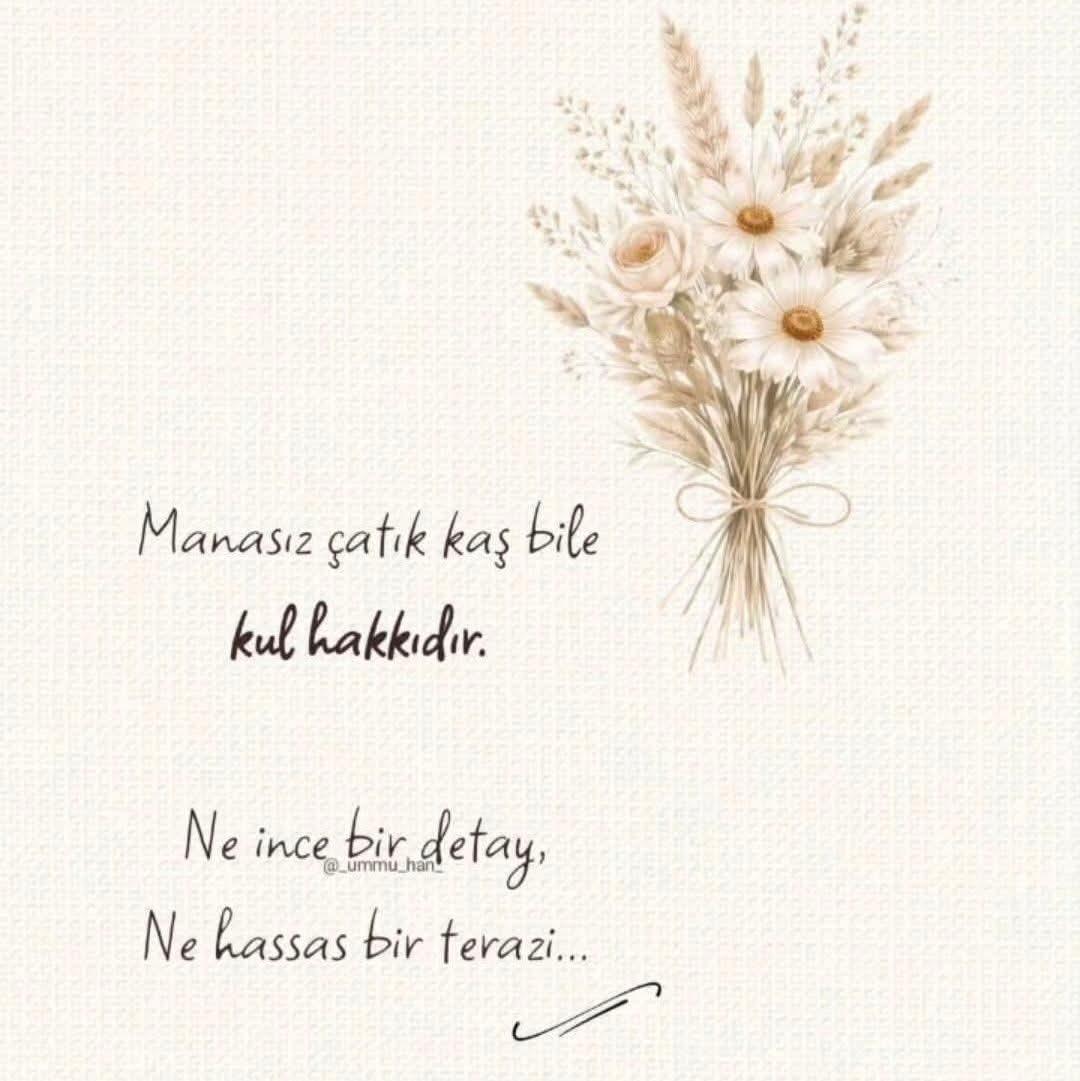 Teramiciyn tweet media