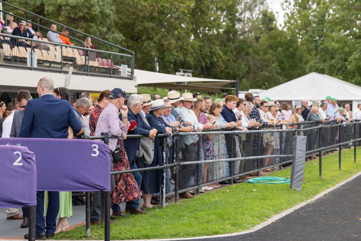 Thoroughbred Park tweet media