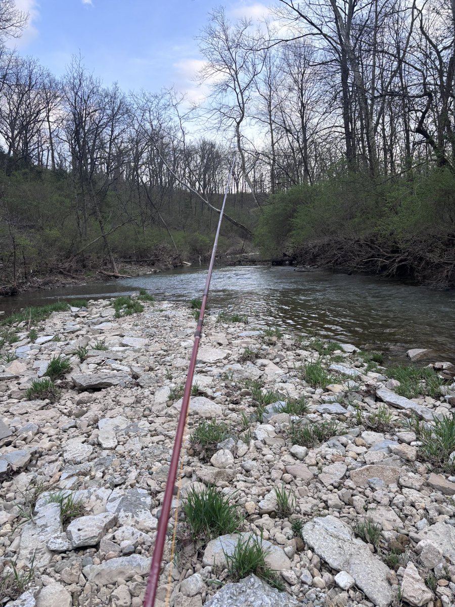 Rick “Godfather” Pitino tweet media