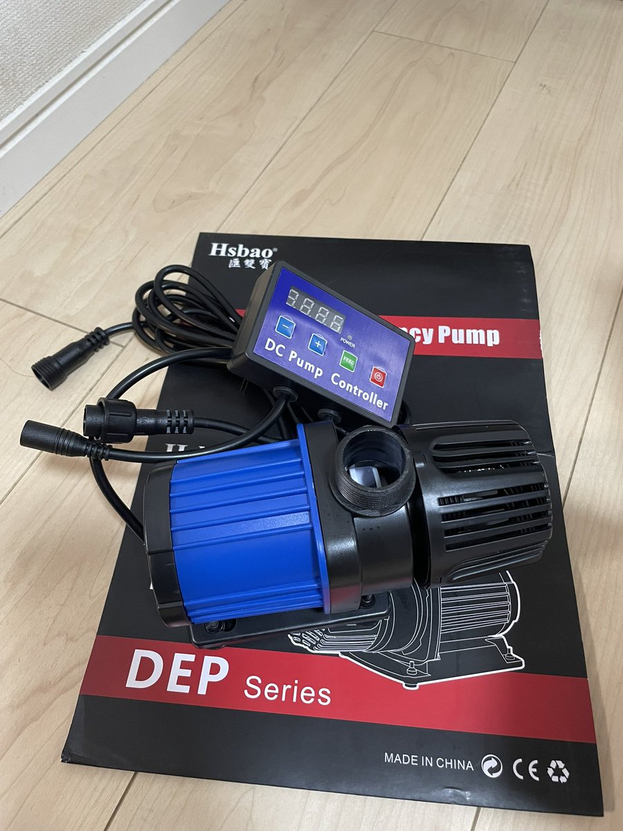 水槽屋 tweet media