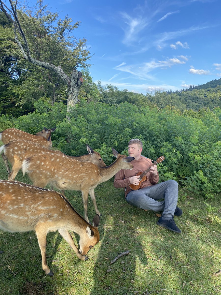 格雷老師 Teacher Grey tweet media