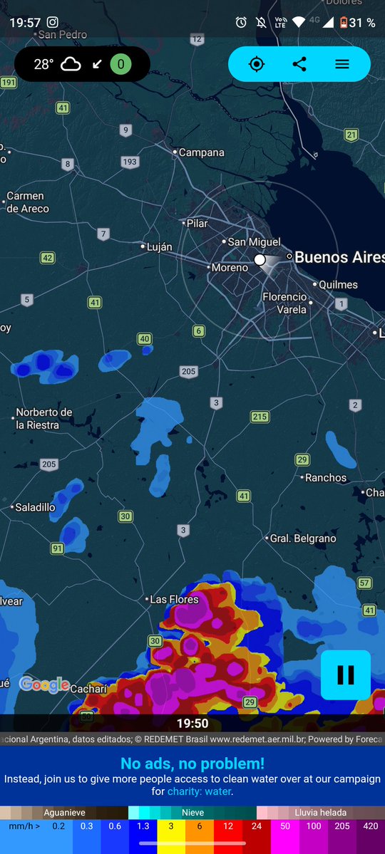 Walter Pavluk tweet media