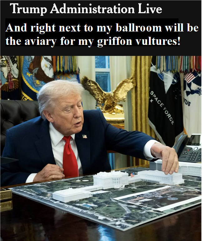 Fahrenheit 451 🪣🥐🪠 tweet media